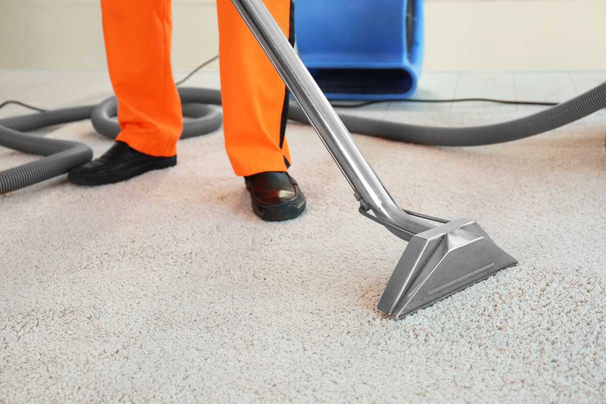 Carpet and Upholstery Cleaning Services