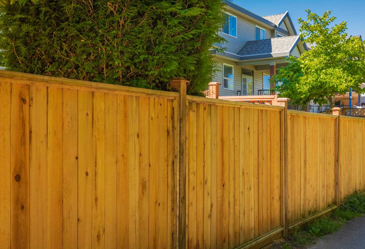 Fence Installation and Repair Services for Privacy