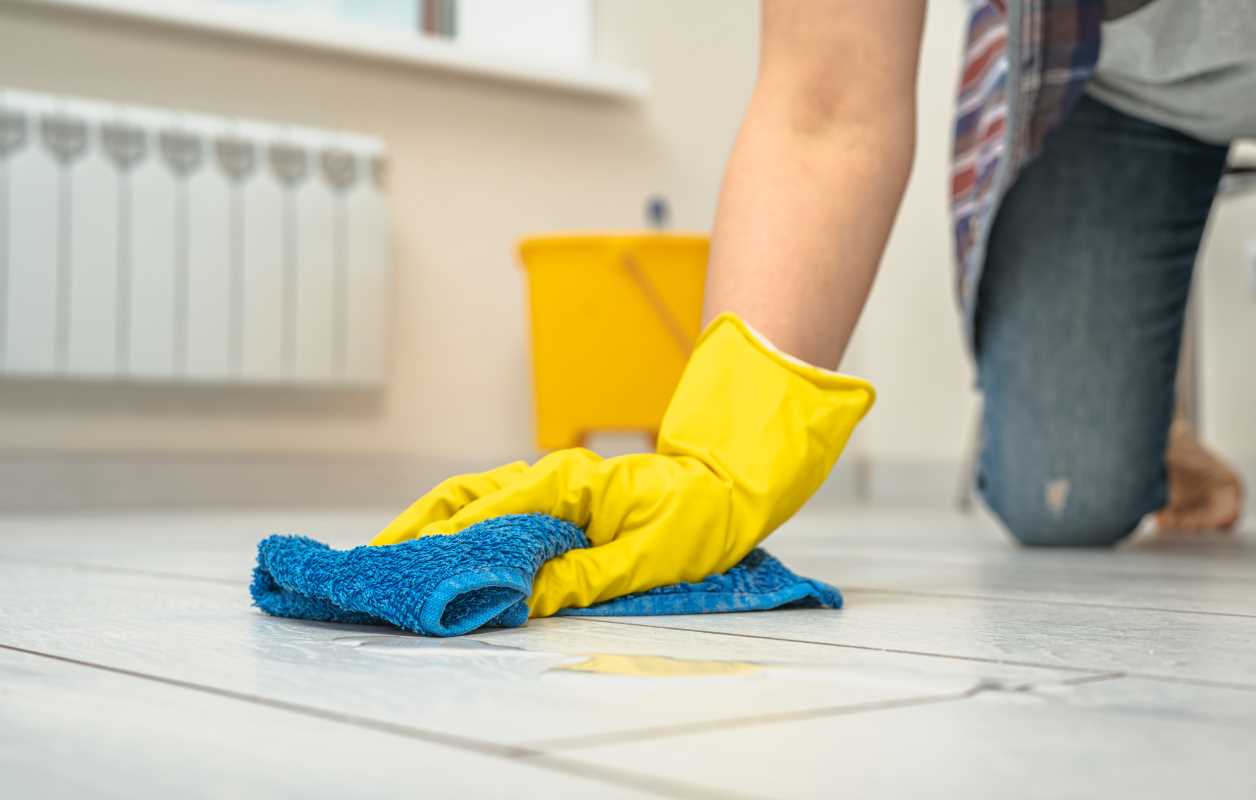 Top Rated Cleaning Services for Homes and Offices 